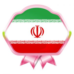 language services iranthient