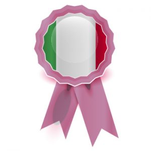 italian to english background translation